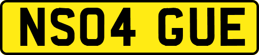 NS04GUE