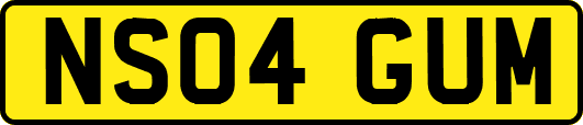 NS04GUM