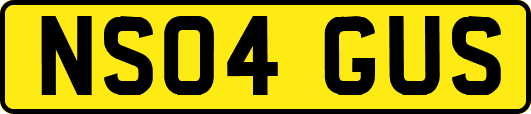 NS04GUS