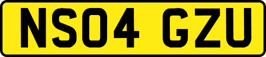 NS04GZU