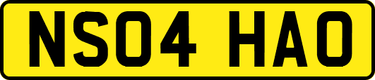 NS04HAO