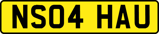 NS04HAU