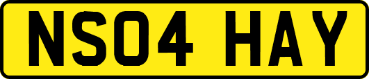 NS04HAY
