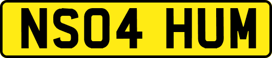 NS04HUM