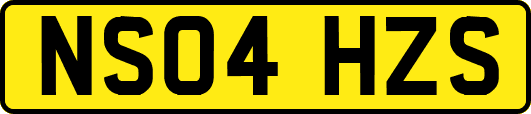 NS04HZS
