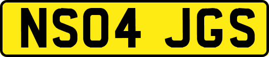 NS04JGS