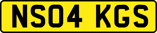 NS04KGS