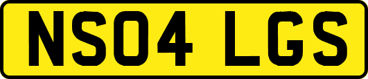 NS04LGS