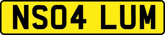 NS04LUM