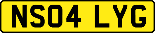 NS04LYG