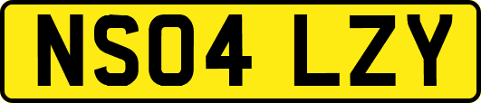 NS04LZY