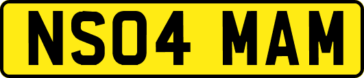NS04MAM