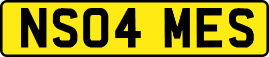 NS04MES
