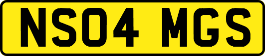 NS04MGS