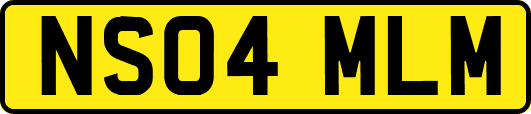 NS04MLM