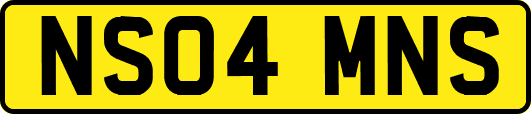 NS04MNS