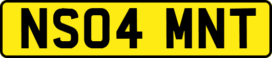 NS04MNT
