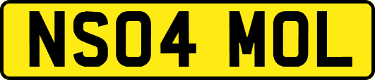 NS04MOL
