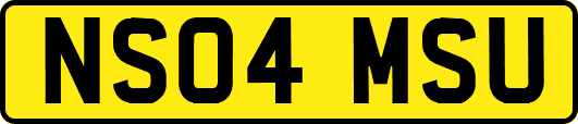 NS04MSU
