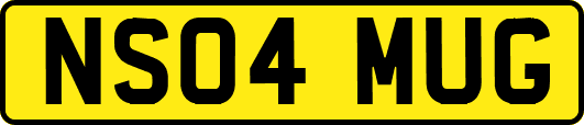 NS04MUG