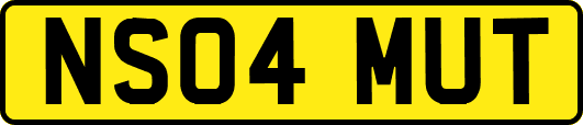 NS04MUT