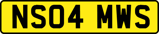 NS04MWS