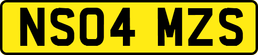 NS04MZS
