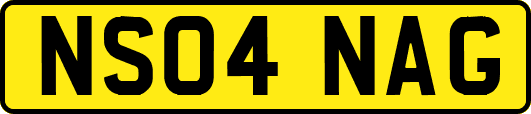 NS04NAG