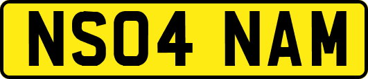 NS04NAM