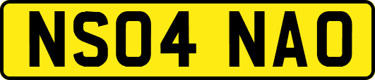 NS04NAO