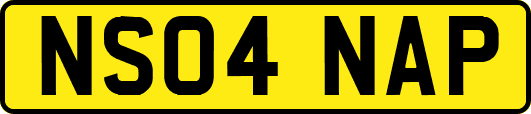 NS04NAP