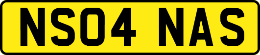 NS04NAS