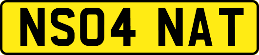 NS04NAT