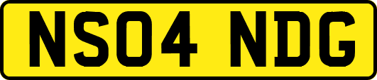 NS04NDG