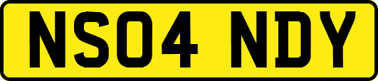NS04NDY
