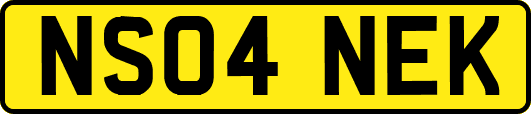 NS04NEK