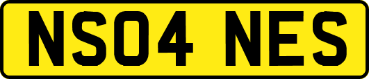 NS04NES