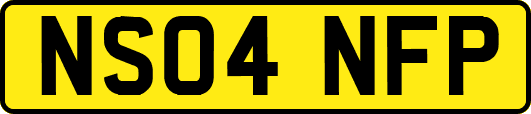 NS04NFP