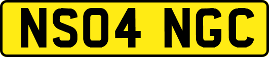 NS04NGC