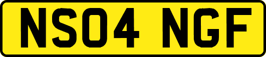 NS04NGF