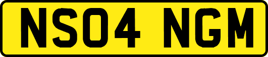NS04NGM
