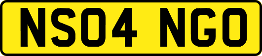 NS04NGO