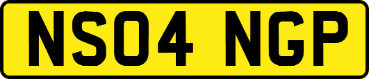 NS04NGP