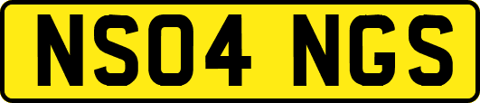NS04NGS