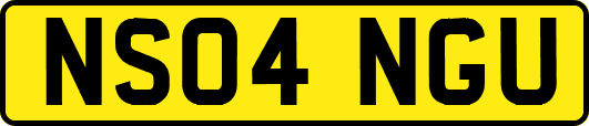 NS04NGU