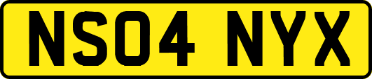 NS04NYX
