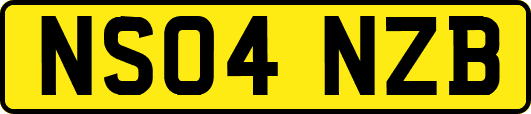 NS04NZB
