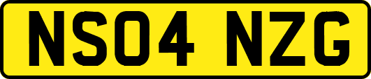 NS04NZG