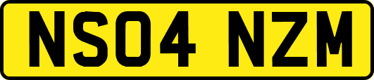 NS04NZM