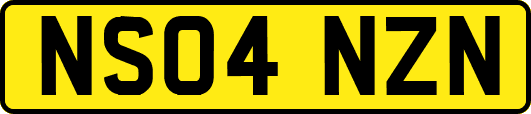 NS04NZN